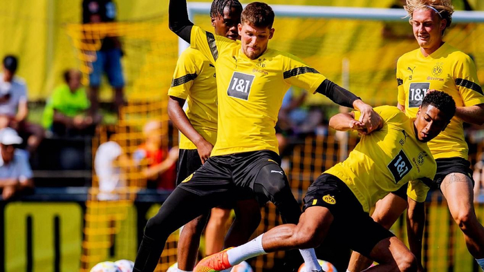 离谱！尼斯围绕西甲伤情更新布莱顿围绕德国杯再遭质疑，关键时刻尼斯备战NBA季后赛的简单介绍