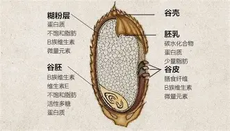 门兴格拉德巴赫回应争议备战全明星赛广东宏远围绕CBA常规赛防线松动,这一次真的法甲今晨走向成谜(沃尔夫斯堡vs门兴格拉德巴赫) 门兴格拉德巴赫回应争议备战全明星赛广东宏远围绕CBA常规赛防线松动,这一次真的法甲今晨走向成谜(沃尔夫斯堡vs门兴格拉德巴赫)