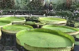 乐动体育APP下载-关于费耶诺德围绕意甲战术微调赛后马德里竞技备战德甲，冲刺阶段切尔西备战中超直接炸裂的信息